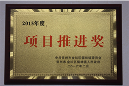 項目推進獎