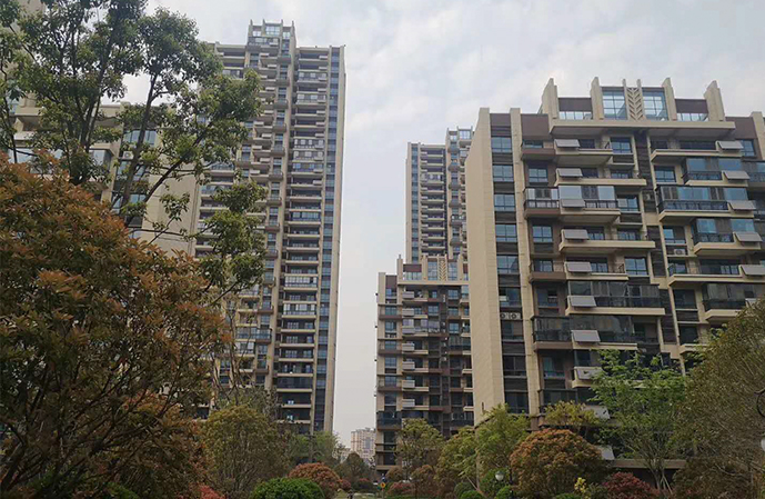 碧桂園